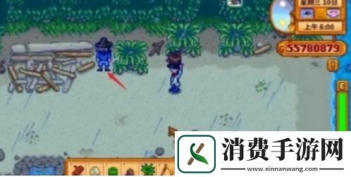 星露谷物语怎么结婚