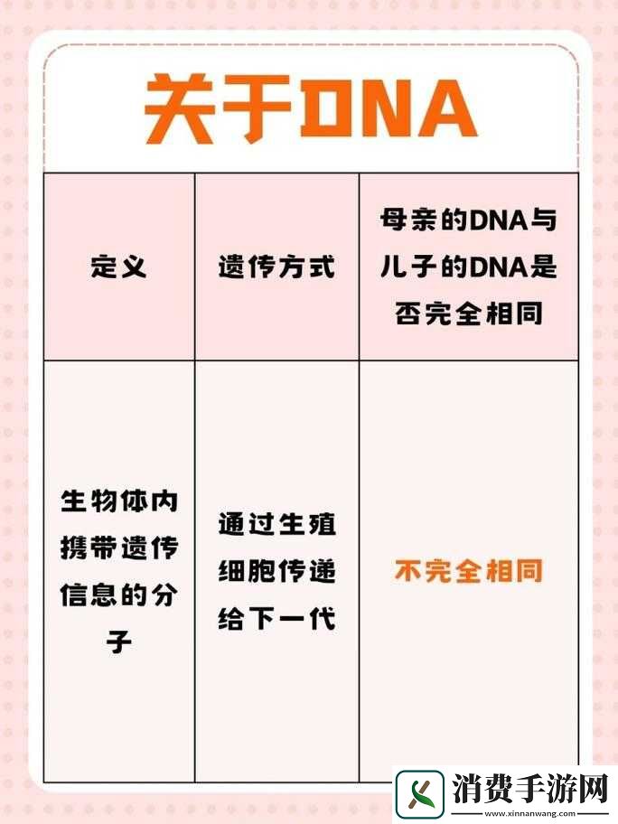 母亲
