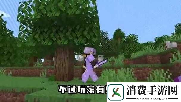 暴躁老外玩