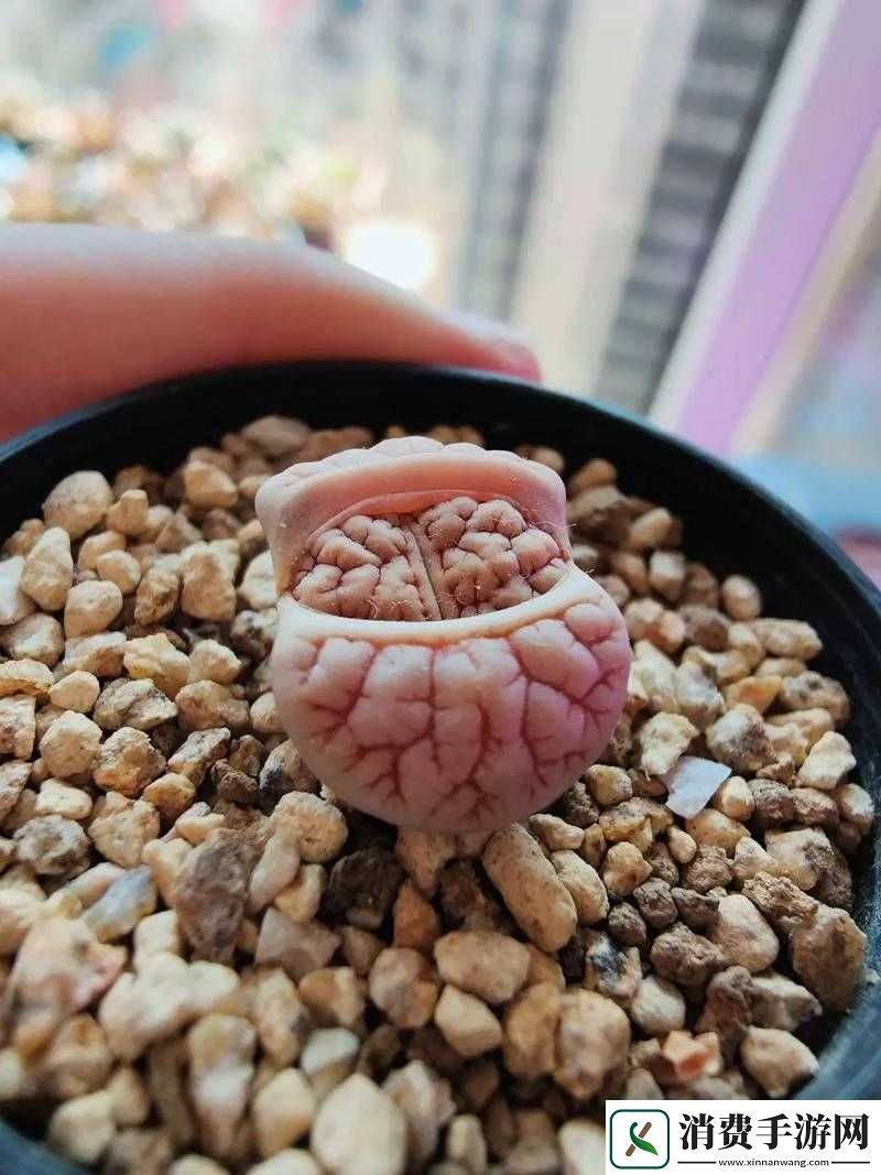 交流
