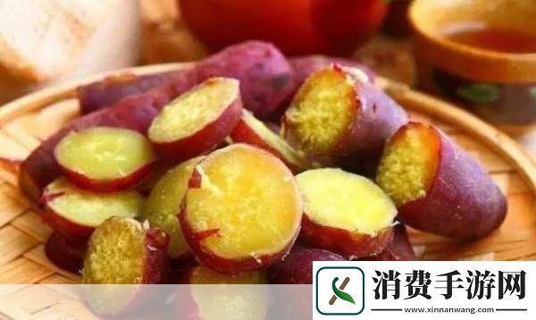肉食家庭食取报告1免费