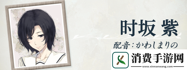 天之少女游戏特色内容介绍