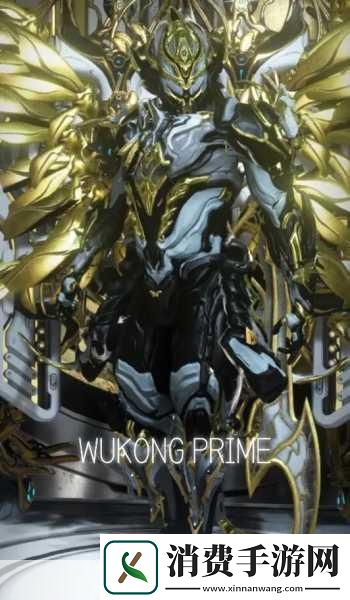 Warframe双子罗格