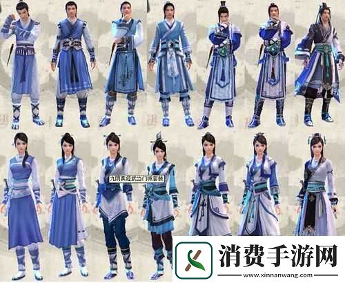 九阴真经手游武当门派武学深度解析掌握资源管理艺术的关键