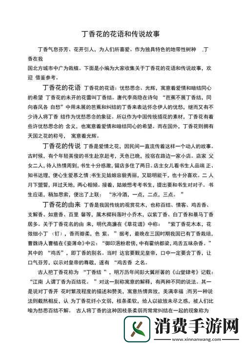 九月丁香与八月婷婷的浪漫爱情故事