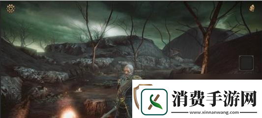 寻找维奥拉石板