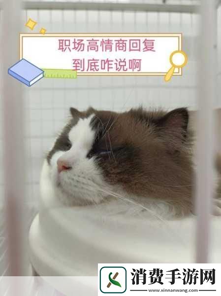 给老子叫