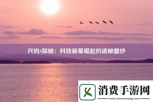 尺码S探秘
