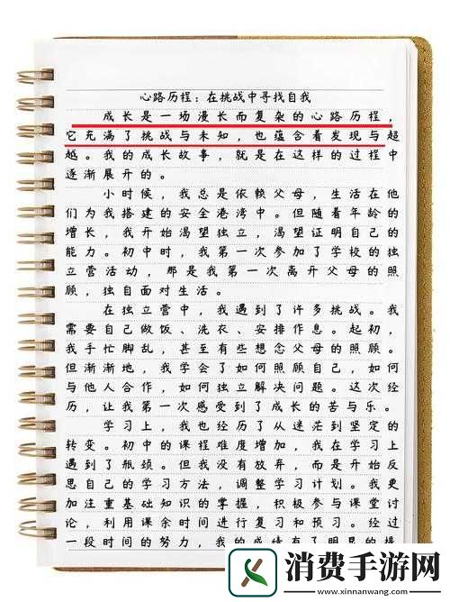 呆哥少妇的别样生活故事