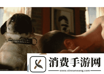 欧美**