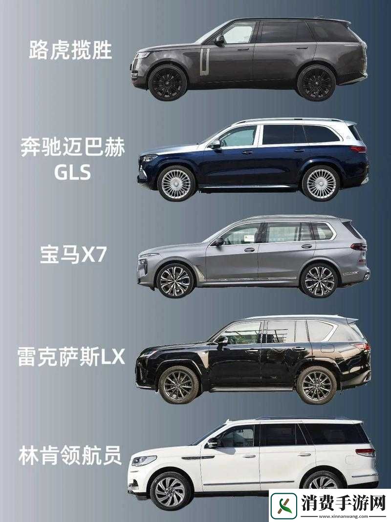 欧美大尺寸
