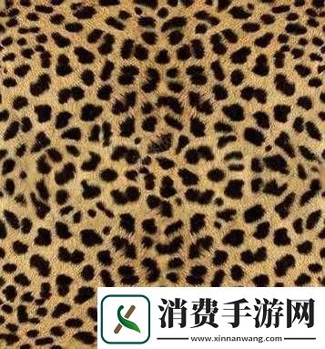 豹纹**的独特魅力与别样风情探讨