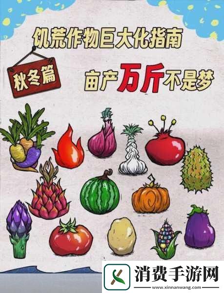 饥荒世界中的植物加速秘籍