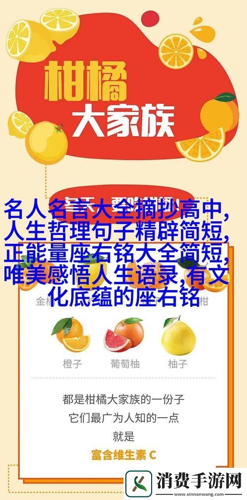 在喧嚣中寻找乐趣——“三个男人躁我一个爽”柯林资讯
