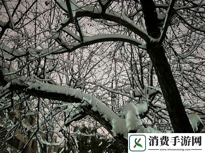 小雪爽⋯好大⋯快⋯深点的奇幻冬日柯林资讯