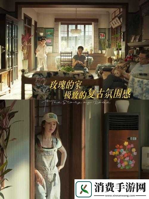 完美妻子满天星
