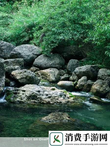 爹爹黄龙直捣溪水潺潺