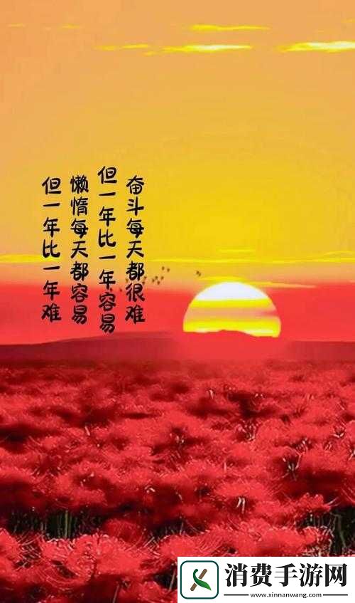 用力日