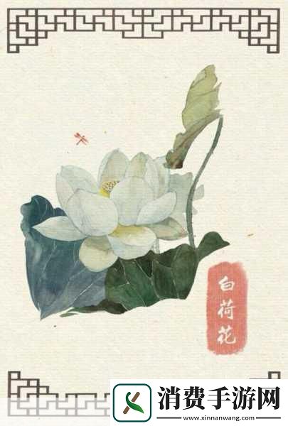 奇迹暖暖葬花吟