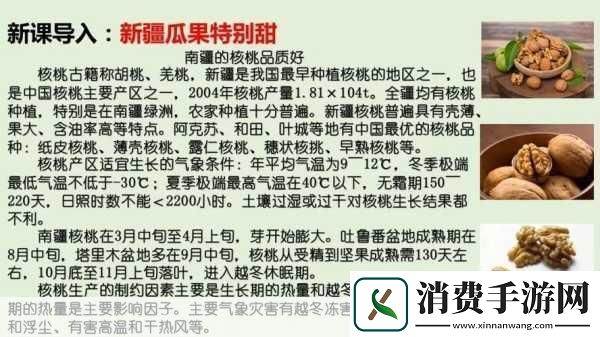51精产一二三产区区别