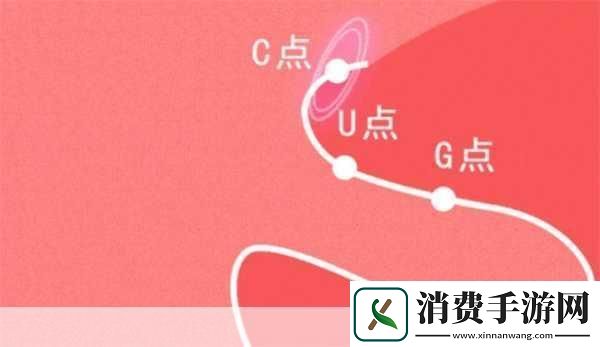 自W到高C的教程夹枕头