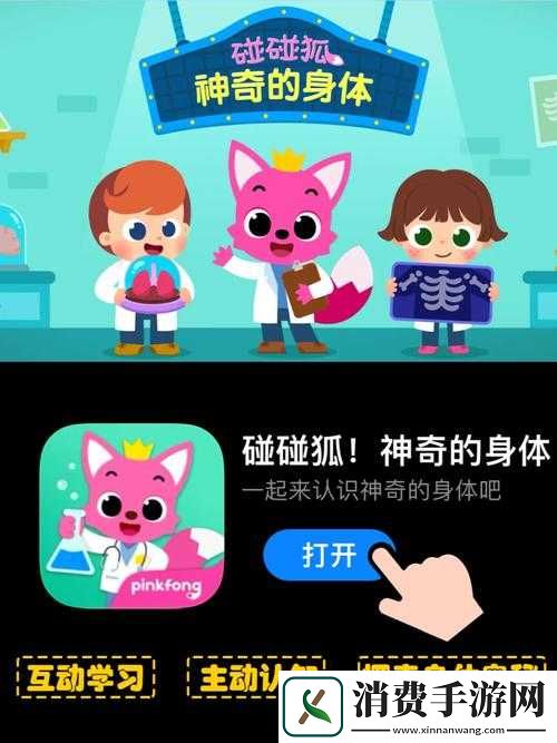 一起探索脱色摇床游戏背后的奥秘