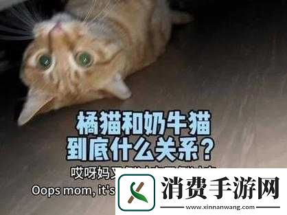 啊啊啊你TM别舔了
