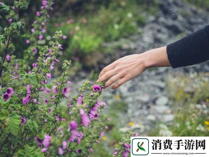 手指在花心里搅拌