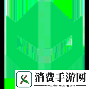 donk论2024年经历