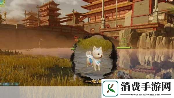 剑3夜哀鸣宠物奇遇