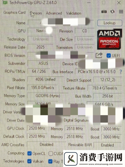 曝AMD
