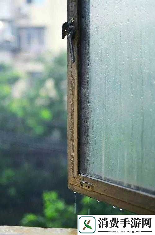 校花趴在玻璃窗上那令人瞩目的独特画面