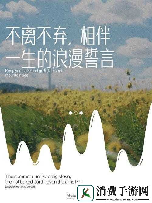 讲解后营露营无增减相濡以沫