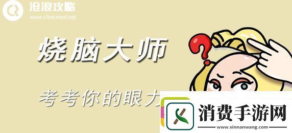 烧脑大师