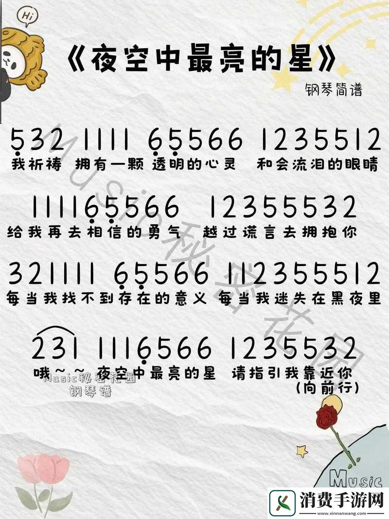 夜空中最亮的指引