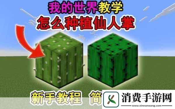 我的世界仙人掌