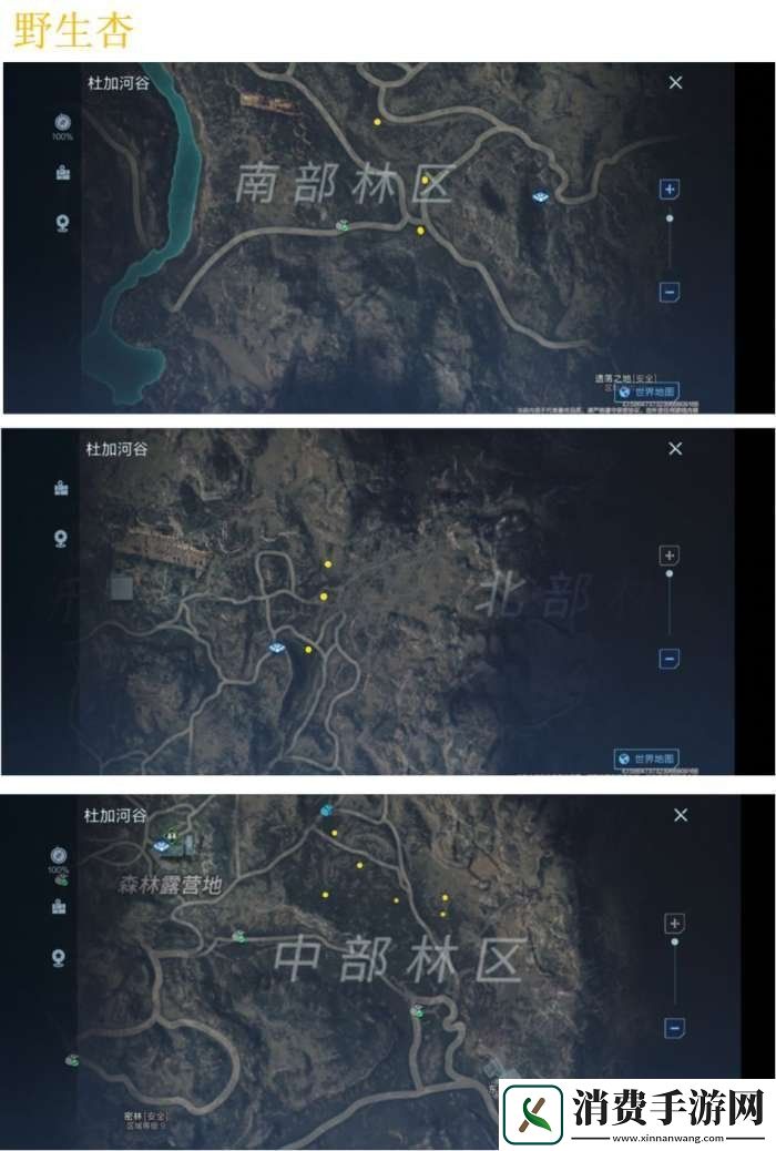 代号降临野生杏在哪里采集野生杏位置一览