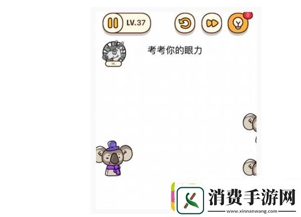 烧脑大师