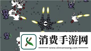 盐和避难所特殊效果的样式——如何理解游戏中的特殊效果机制与玩法深度解析