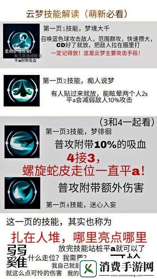 小喵宝典深度解析
