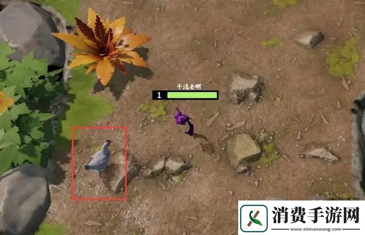 起源进化岛新手必看攻略指南