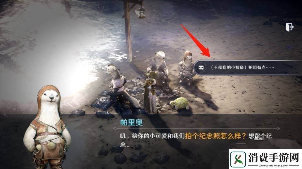 黑色沙漠手游小神龟怎么获得