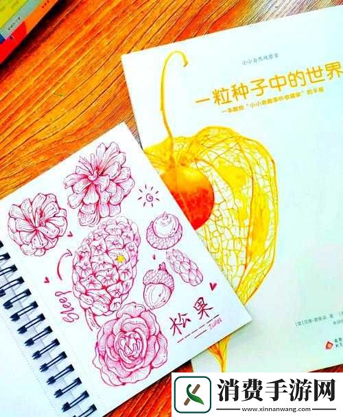 需要爸爸的种子来播种