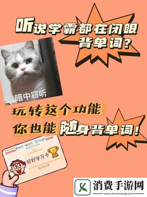 坐在学霸的鸡上背单词作者分享独特学习经历和心得