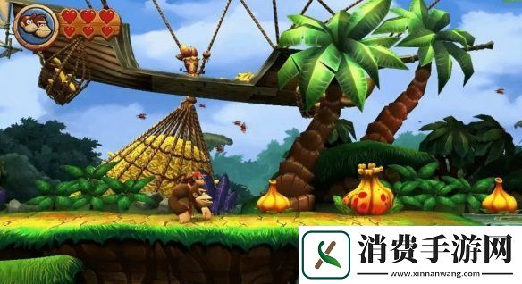 大金刚国度