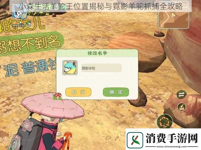 小森生活羊驼王位置揭秘与霓影羊驼抓捕全攻略
