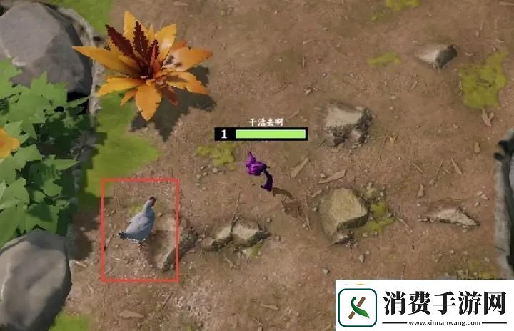 起源进化岛新手必看攻略指南