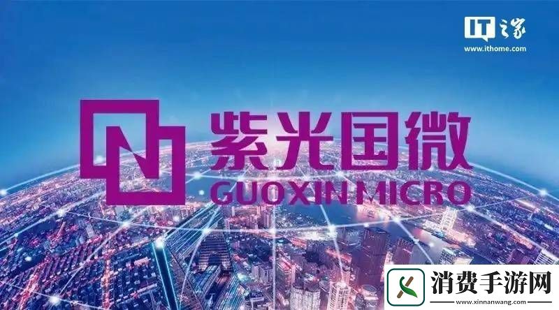 紫光国微2024年业绩下滑