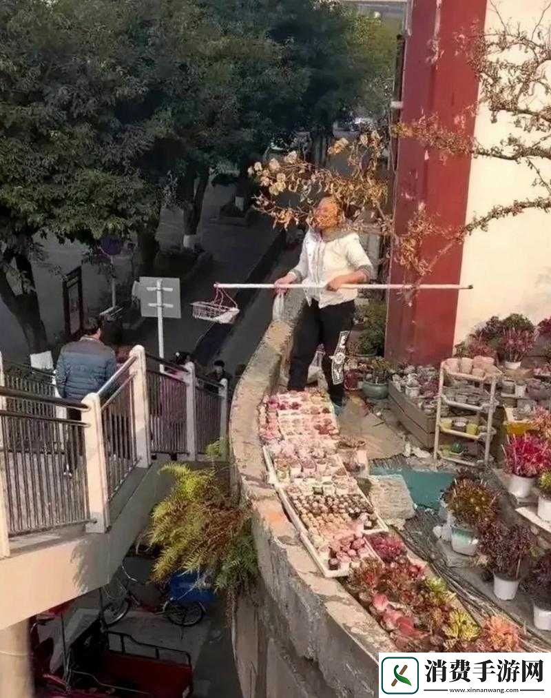 东北