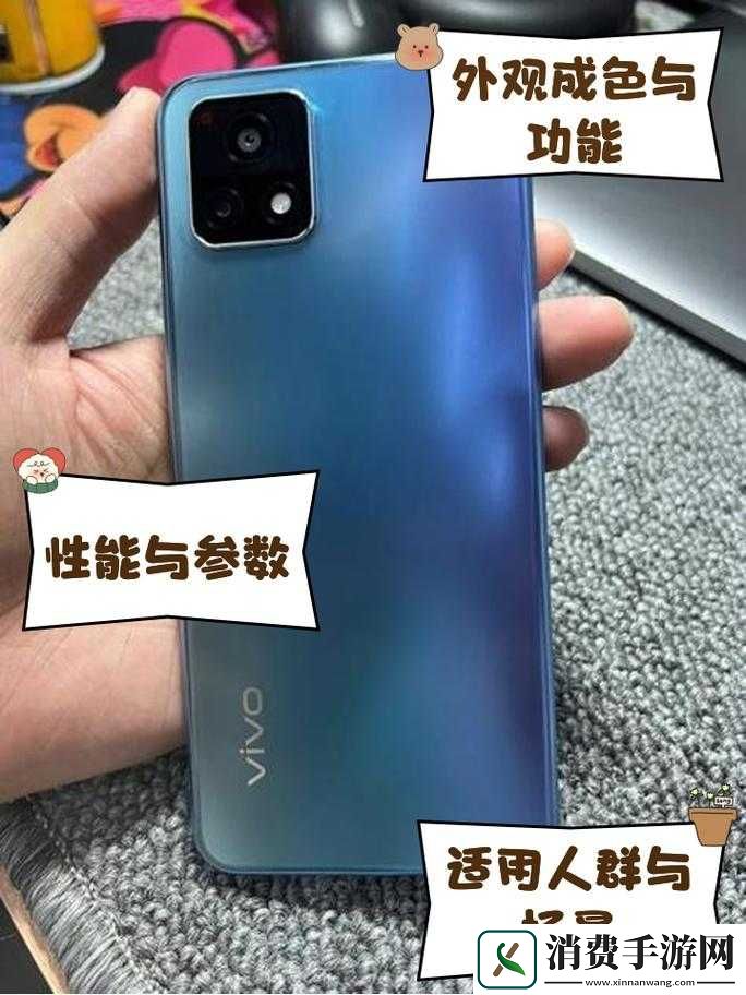 探寻成色好的y31s标准版官